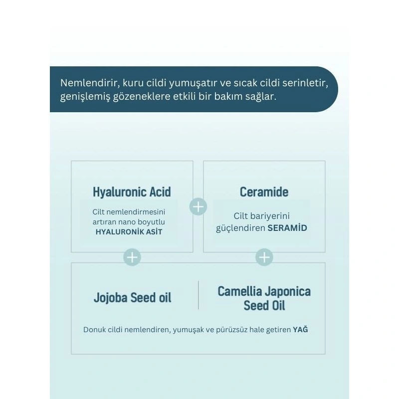 Dermal Korea Seoul Face Hyaluronic Hydrogel Melting Face Mask